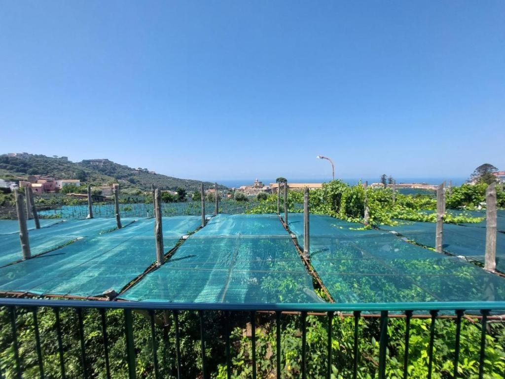 Il Pozzillo Maison Massa Lubrense Ngoại thất bức ảnh